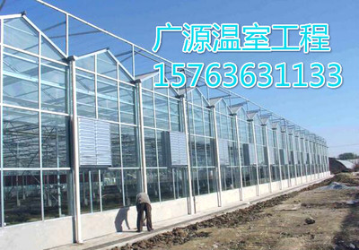 GY-智能溫室-智能連棟花卉溫室-*-空間大-保溫好