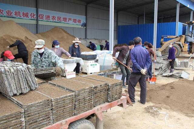 湖北陽新縣:農業生產經營主體全面復工復產